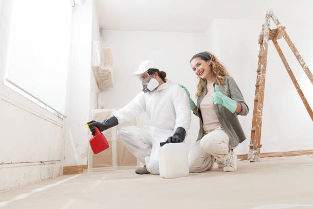 Mold Remediation for Rental Properties in Valley City, ND