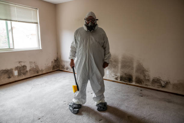 Best Mold Damage Restoration  in Valley City, ND